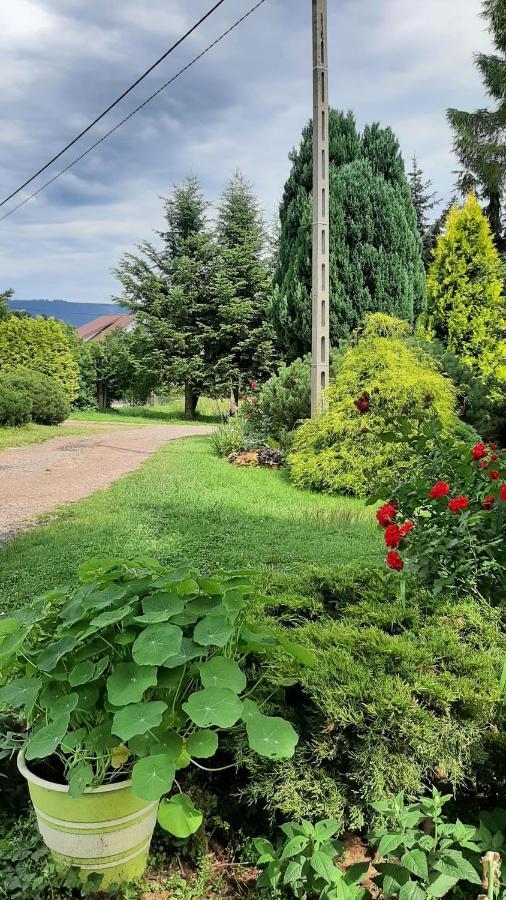 Noclegi U Przewodnikow - Zwiedzaczek Lubawka Exteriér fotografie