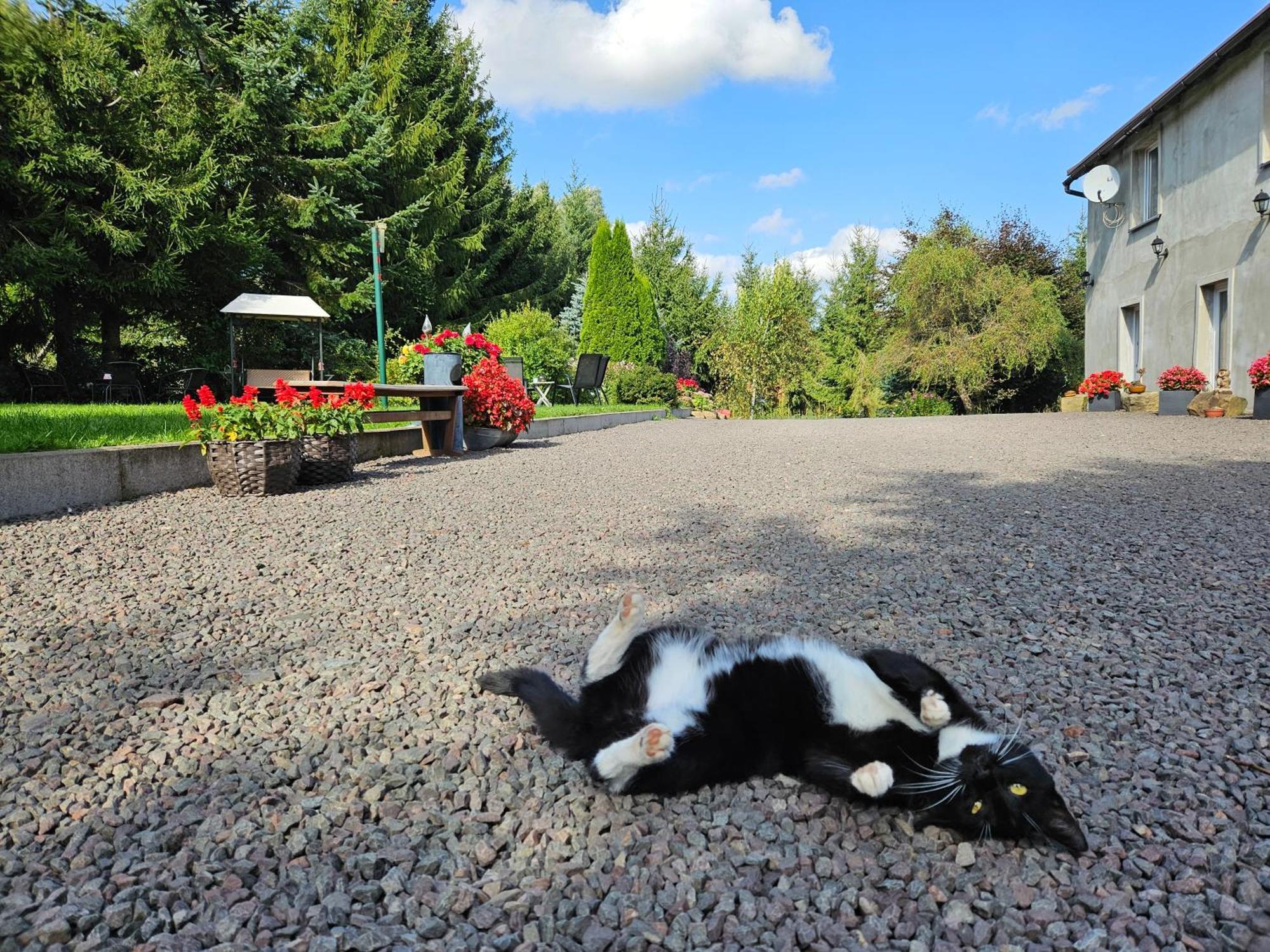 Noclegi U Przewodnikow - Zwiedzaczek Lubawka Exteriér fotografie